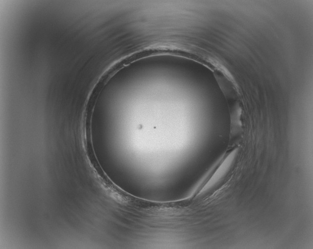 X0000073980984200609051906