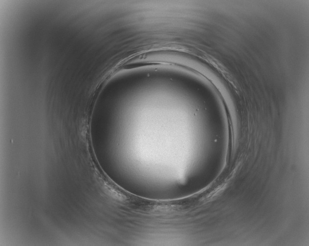 X0000073980985200609051906