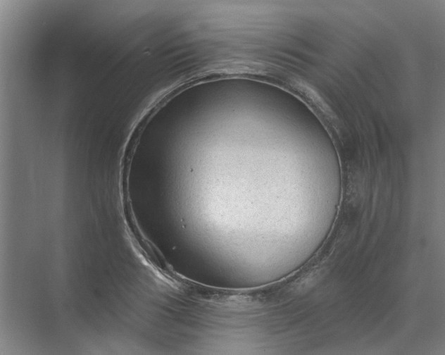 X0000073980986200609051906