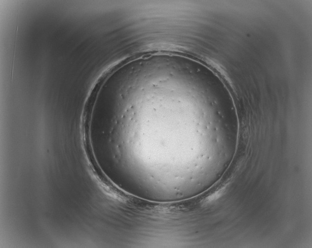 X0000073980987200609051906