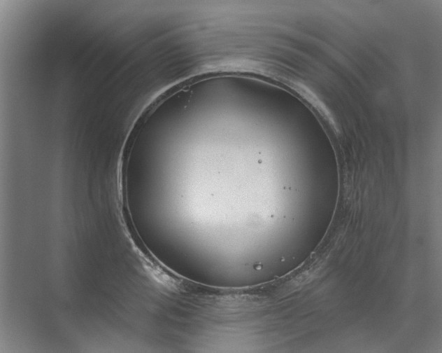 X0000073980988200609051906