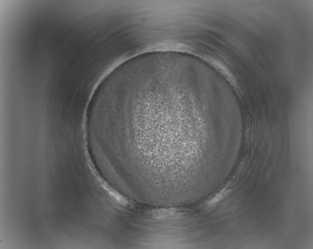 X0000073980990200609051906