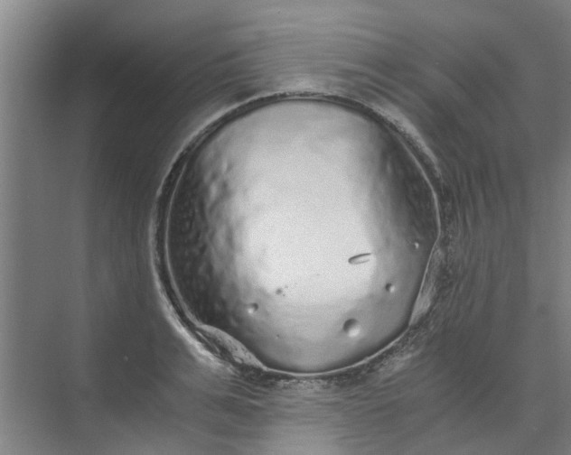 X0000073980991200609051906