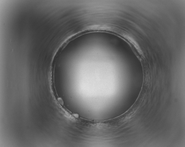 X0000073980992200609051906