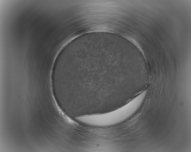 X0000073980995200609051906