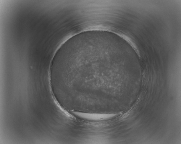 X0000073980998200609051906