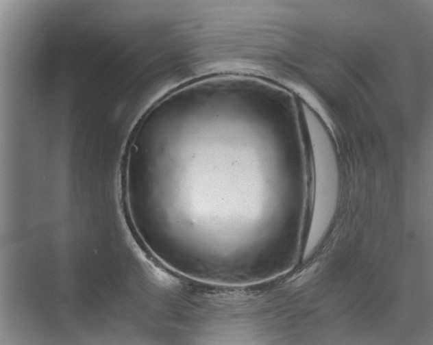 X0000073980999200609051906