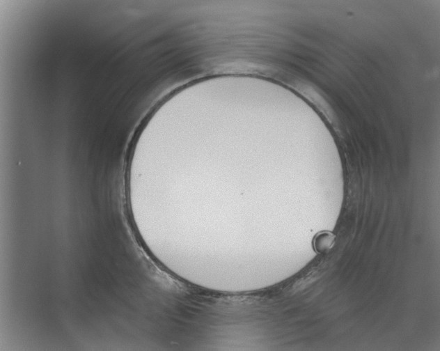 X0000073981000200609051906