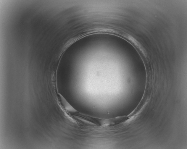 X0000073981001200609051906