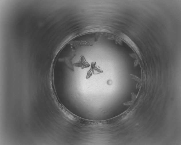 X0000073981002200609051906