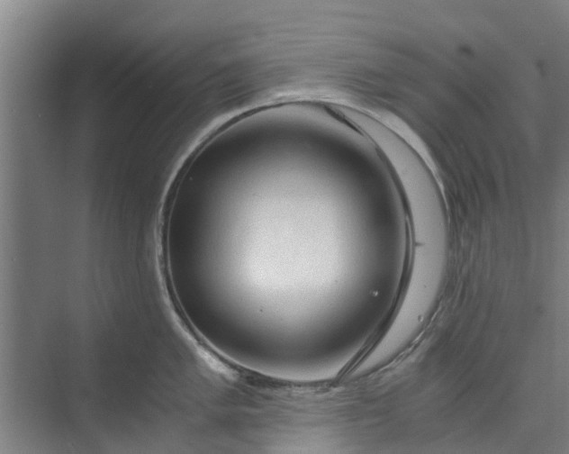 X0000073981005200609051906