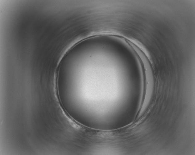 X0000073981006200609051906