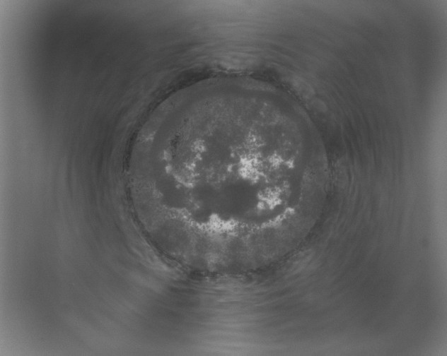 X0000073981009200609051905