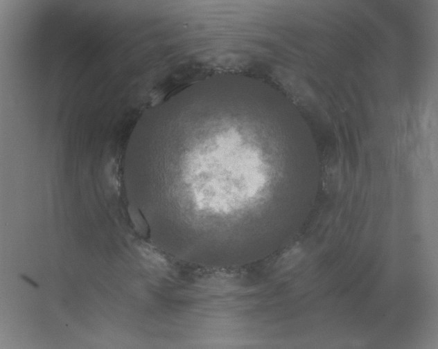 X0000073981010200609051905