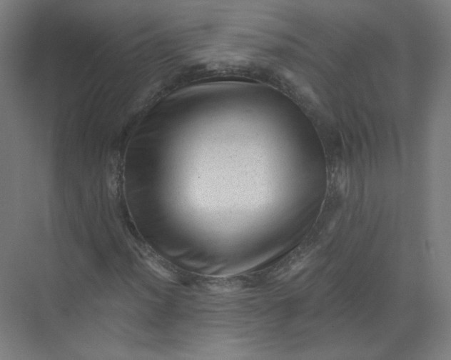 X0000073981012200609051905