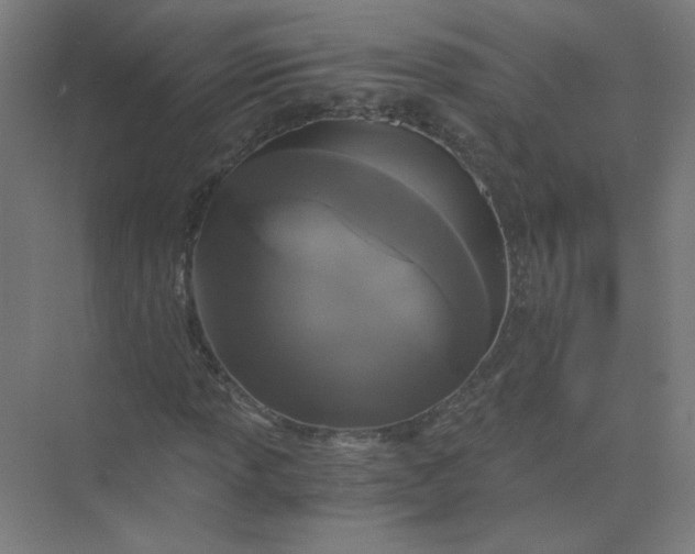 X0000073981013200609051905