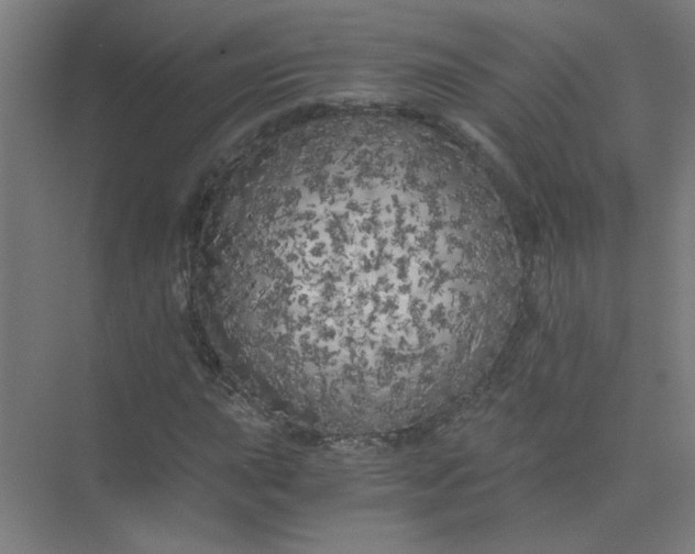 X0000073981015200609051905