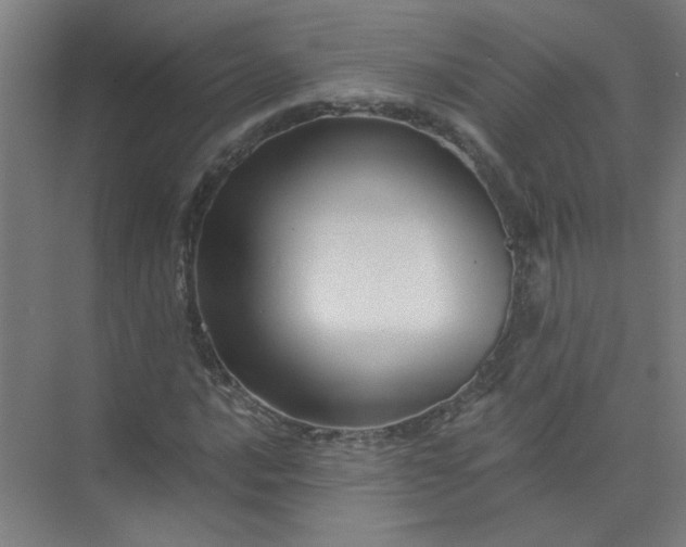 X0000073981016200609051905