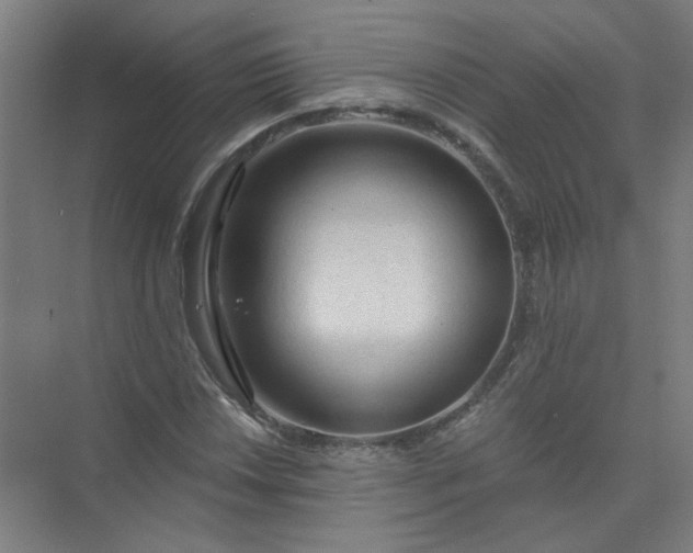 X0000073981018200609051905