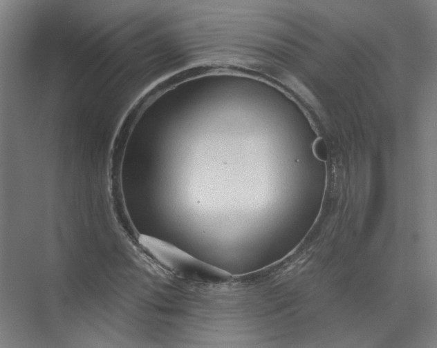 X0000073981020200609051905