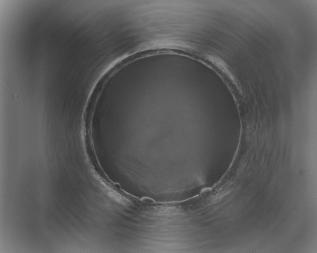 X0000073981024200609051905