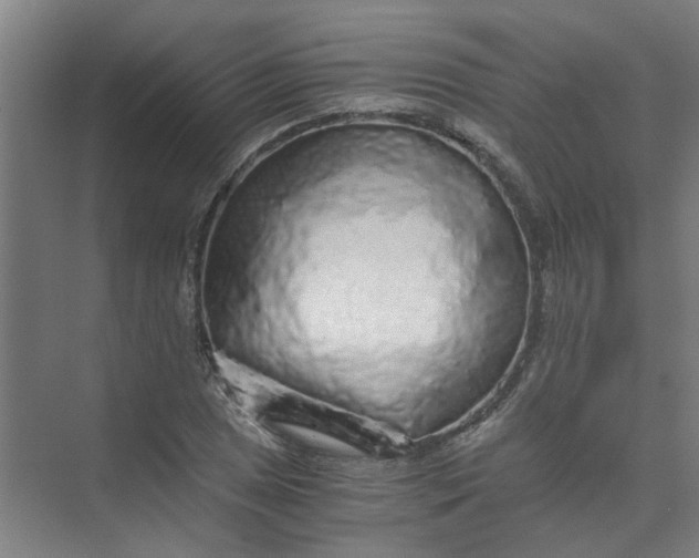 X0000073981025200609051905