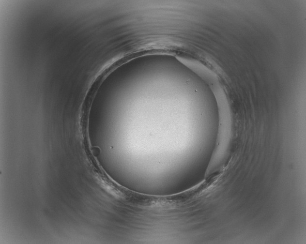 X0000073981026200609051905