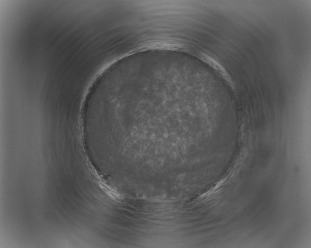 X0000073981027200609051905