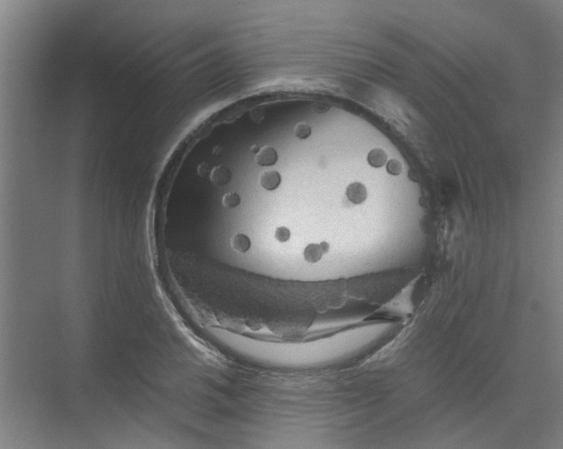 X0000073981030200609051906