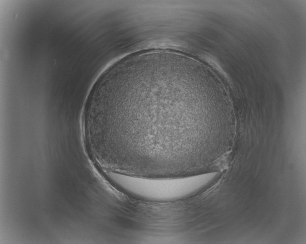 X0000073981032200609051906