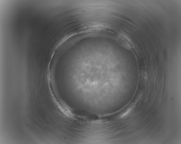 X0000073981034200609051906