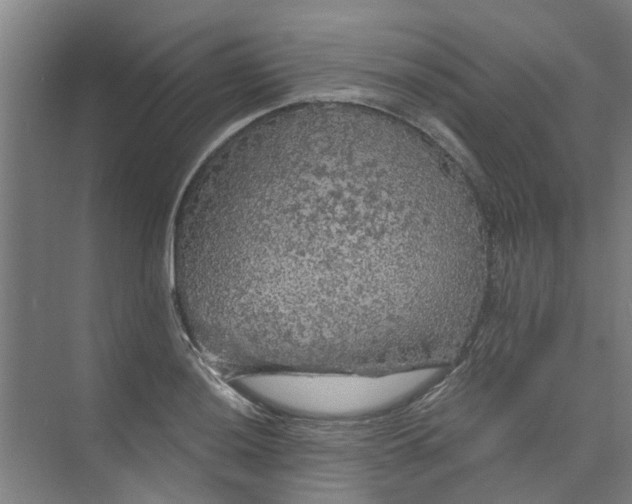 X0000073981036200609051906