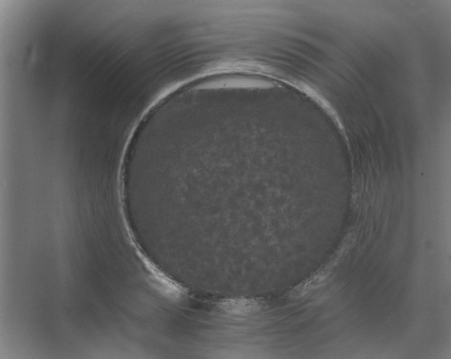 X0000073981037200609051906