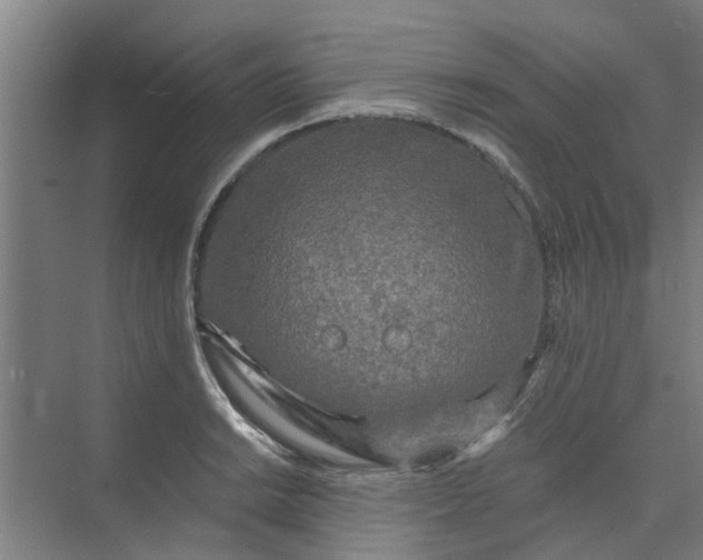 X0000073981038200609051906