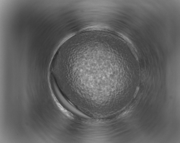 X0000073981042200609051906