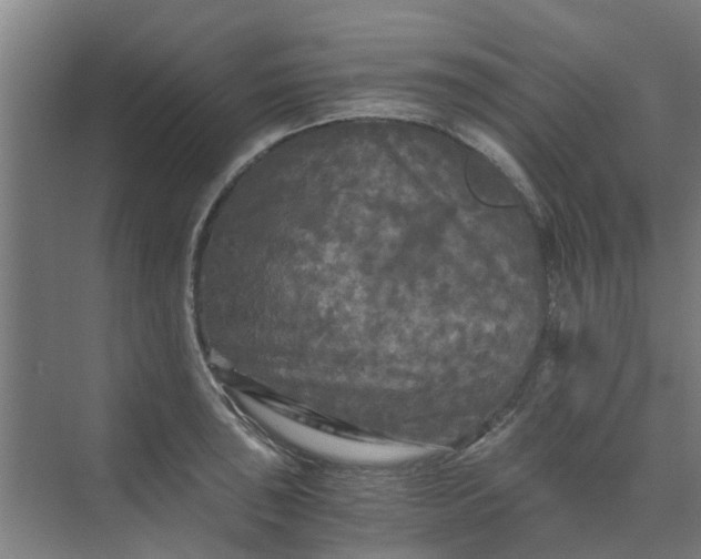 X0000073981043200609051906