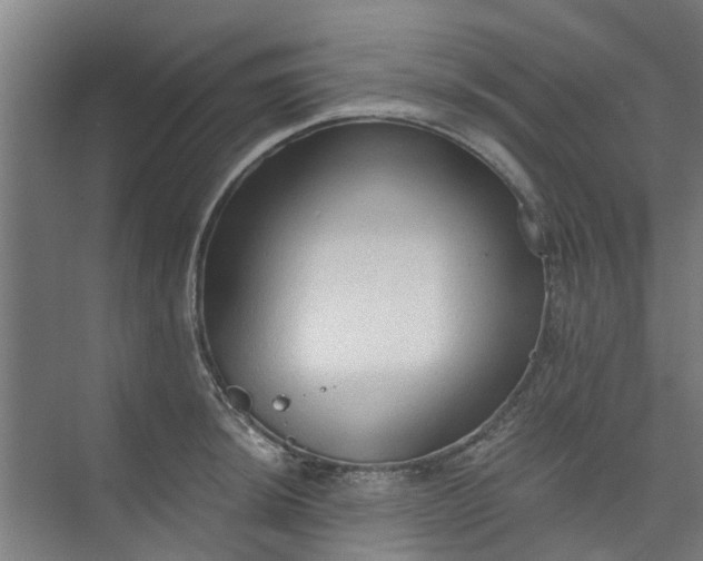 X0000073981044200609051906