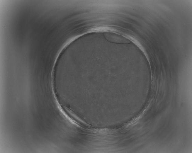 X0000073981045200609051906