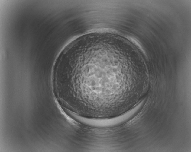 X0000073981046200609051906