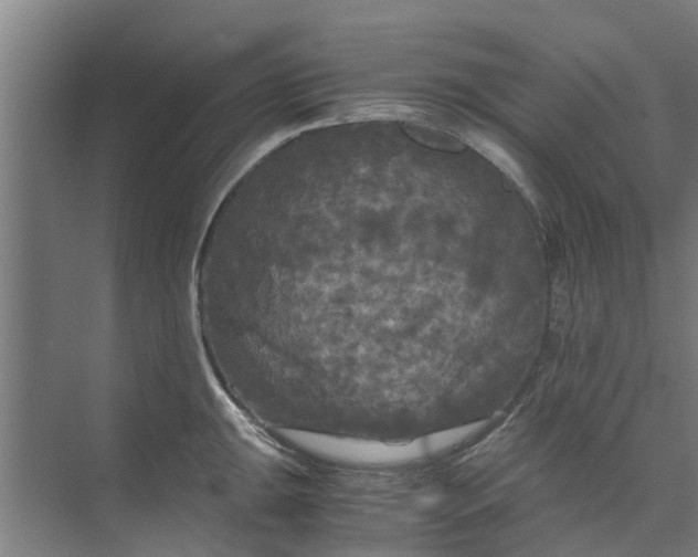 X0000073981047200609051906