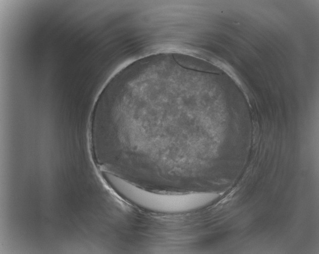 X0000073981048200609051906