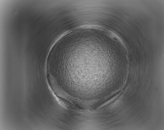 X0000073981050200609051906