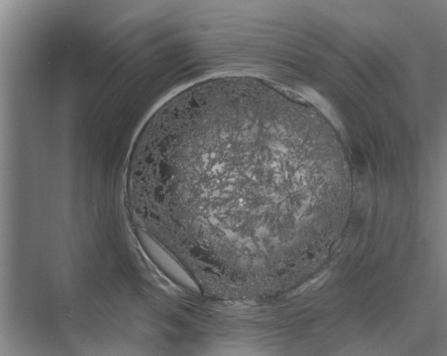 X0000073981052200609051906