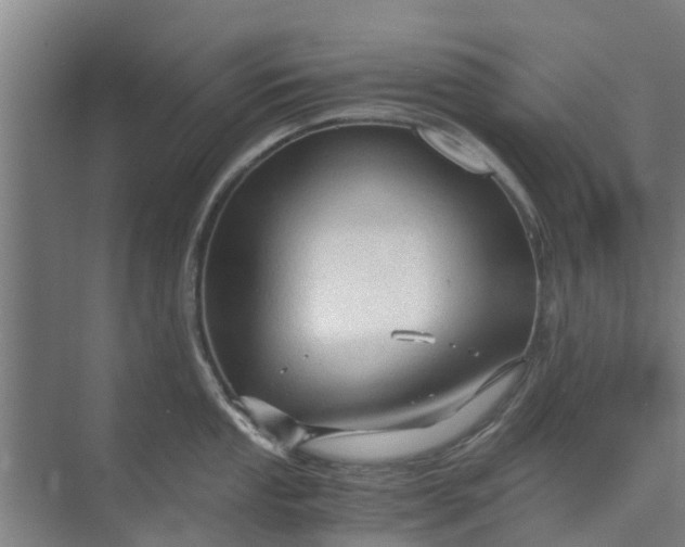 X0000073981053200609051906