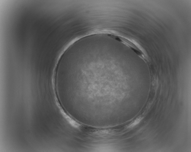 X0000073981054200609051906