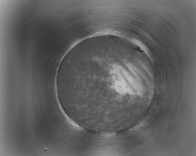 X0000073981055200609051906