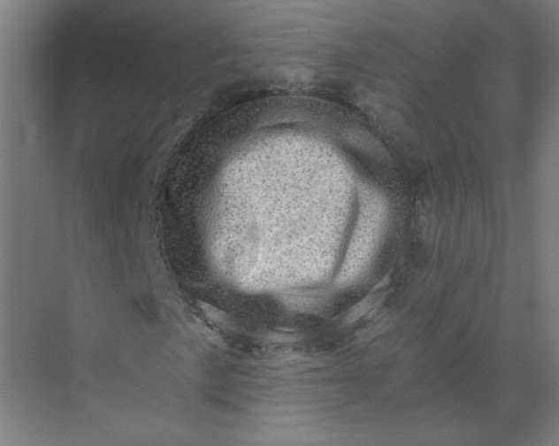 X0000073981057200609051905