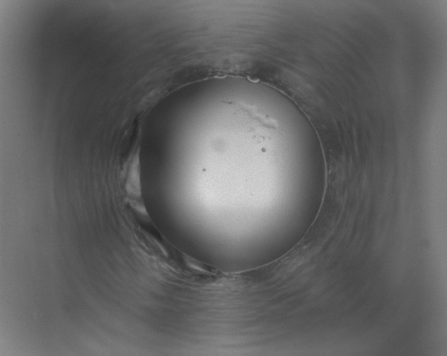 X0000073981058200609051905