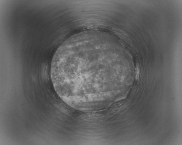 X0000073981060200609051905