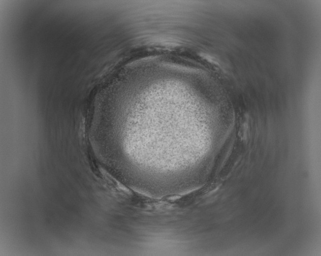 X0000073981061200609051905